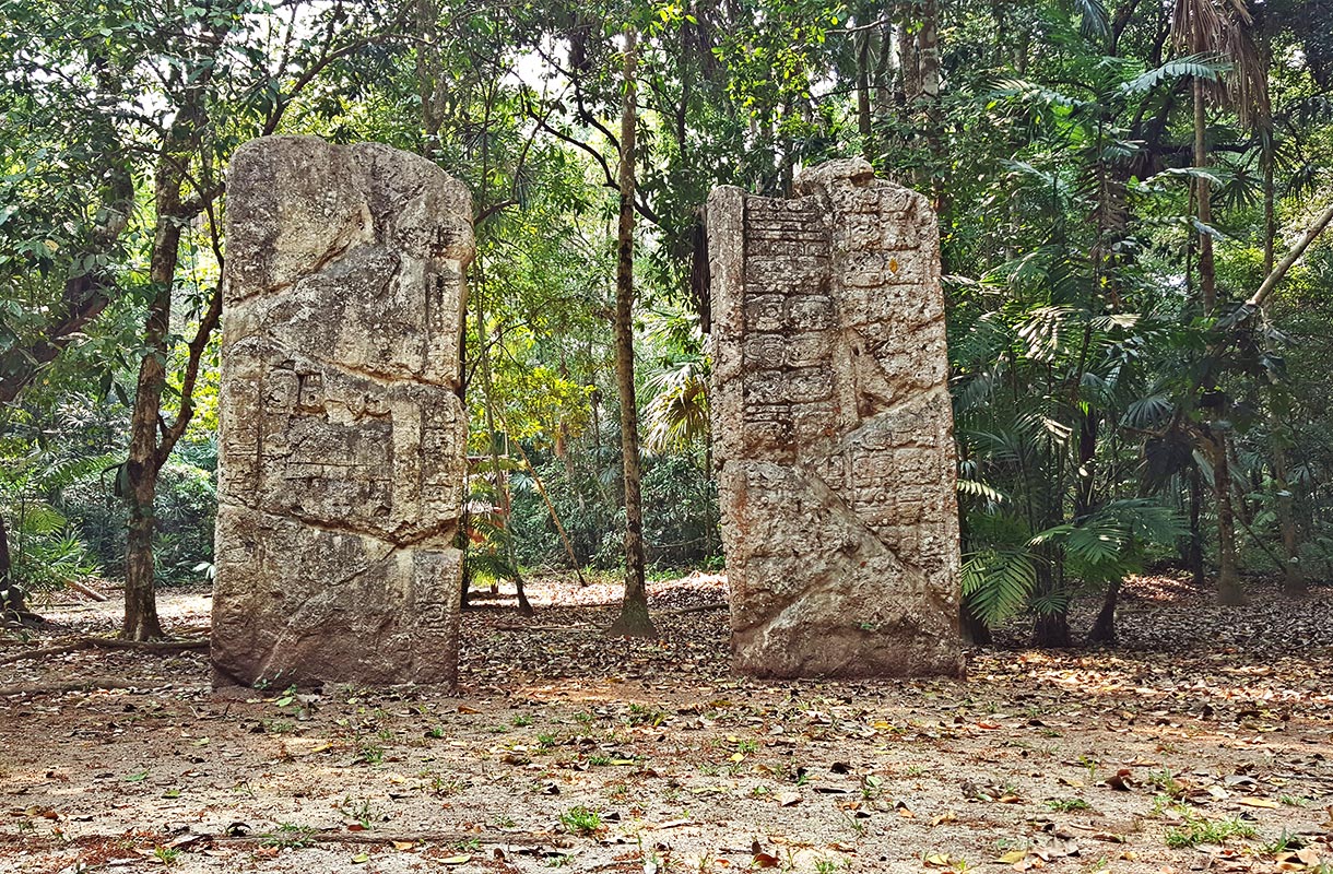 Descubre el Enigma de Waká: Un Viaje a Través del Tiempo y la Biodiversidad Maya