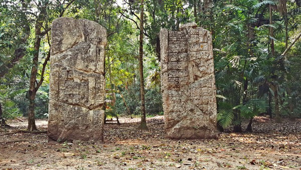 Descubre el Enigma de Waká: Un Viaje a Través del Tiempo y la Biodiversidad Maya