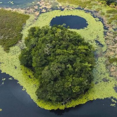 Isla En La Laguna Puerto Arturo
