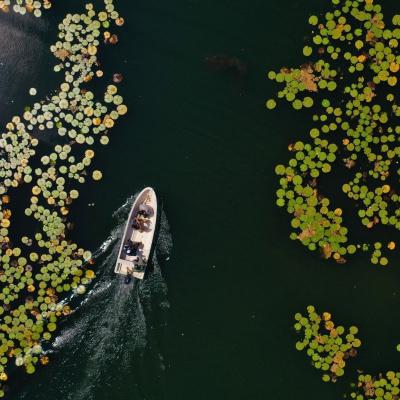 Laguna Puerto Arturo