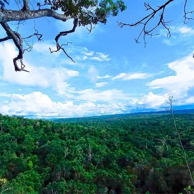 Valle De Buena Vista