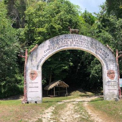 Entrada A La Ruta Del Jaguar
