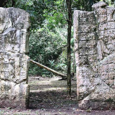 Estelas De Waka Peru